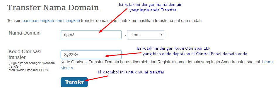Langkah pertama dalam Cara Transfer Nama Domain, Isi nama domain dan kode otorisasi