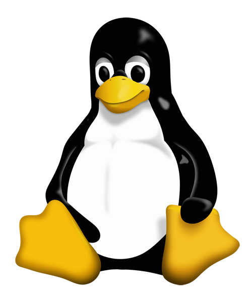 Shared hosting linux